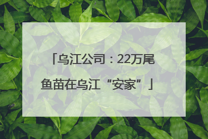 乌江公司：22万尾鱼苗在乌江“安家”