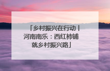 乡村振兴在行动丨河南南乐：西红柿铺就乡村振兴路
