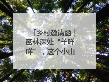 乡村邀请函｜密林深处“羊咩咩”，这个小山村如何逆袭？