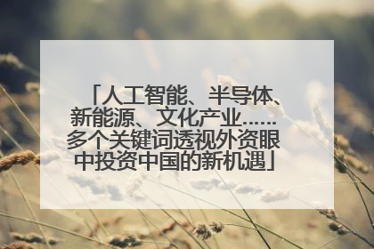 人工智能、半导体、新能源、文化产业……多个关键词透视外资眼中投资中国的新机遇
