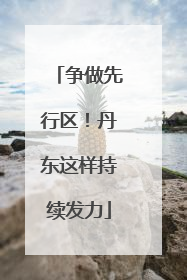 争做先行区！丹东这样持续发力