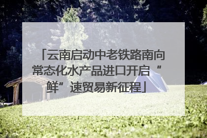 云南启动中老铁路南向常态化水产品进口开启“鲜”速贸易新征程