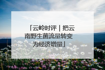 云岭时评｜把云南野生菌流量转变为经济增量