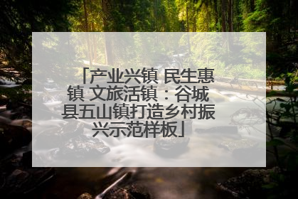 产业兴镇 民生惠镇 文旅活镇：谷城县五山镇打造乡村振兴示范样板
