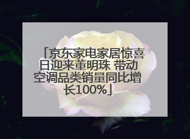 京东家电家居惊喜日迎来董明珠 带动空调品类销量同比增长100%