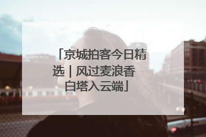 京城拍客今日精选｜风过麦浪香 白塔入云端