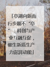 亭湖向新而行步履不“亭”：科创与产业互融互促，催生新质生产力澎湃动能