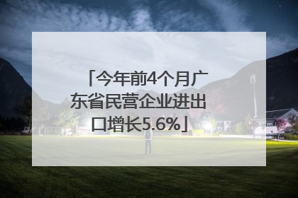 今年前4个月广东省民营企业进出口增长5.6%