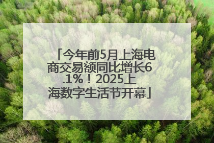 今年前5月上海电商交易额同比增长6.1%！2025上海数字生活节开幕