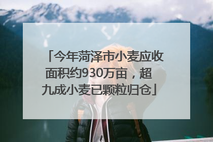 今年菏泽市小麦应收面积约930万亩，超九成小麦已颗粒归仓