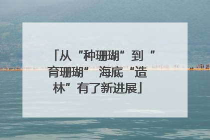 从“种珊瑚”到“育珊瑚” 海底“造林”有了新进展