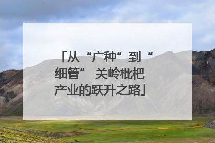 从“广种”到“细管” 关岭枇杷产业的跃升之路