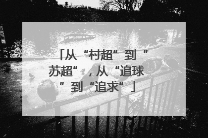从“村超”到“苏超”，从“追球”到“追求”