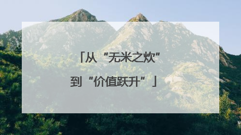 从“无米之炊”到“价值跃升”