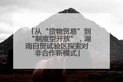 从“货物贸易”到“制度型开放”，湖南自贸试验区探索对非合作新模式