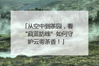 从空中到茶园，看“藏蓝防线”如何守护云雾茶香！