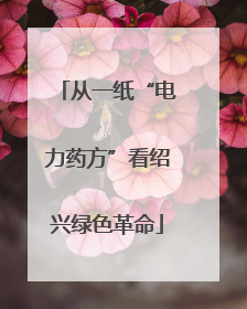 从一纸“电力药方”看绍兴绿色革命