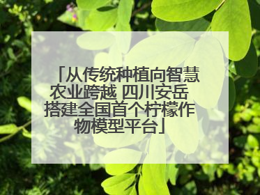 从传统种植向智慧农业跨越 四川安岳搭建全国首个柠檬作物模型平台