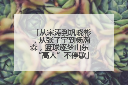 从宋涛到巩晓彬，从张子宇到杨瀚森，篮球逐梦山东“高人”不停歇