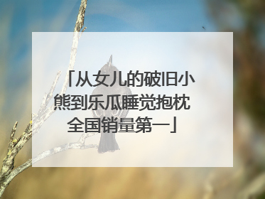 从女儿的破旧小熊到乐瓜睡觉抱枕全国销量第一