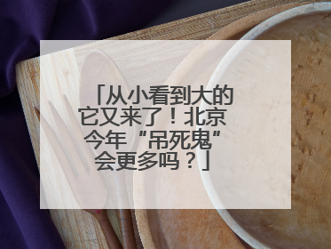 从小看到大的它又来了！北京今年“吊死鬼”会更多吗？