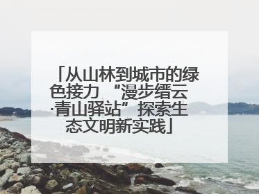 从山林到城市的绿色接力 “漫步缙云·青山驿站”探索生态文明新实践