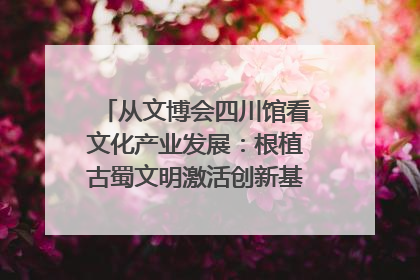 从文博会四川馆看文化产业发展：根植古蜀文明激活创新基因｜文博向“新”