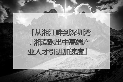 从湘江畔到深圳湾，湘潭跑出中高端产业人才引进加速度