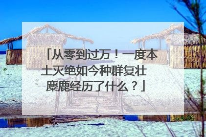 从零到过万！一度本土灭绝如今种群复壮 麋鹿经历了什么？