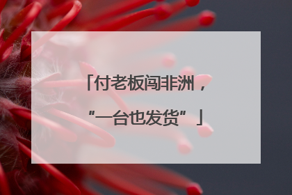 付老板闯非洲，“一台也发货”