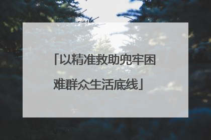以精准救助兜牢困难群众生活底线