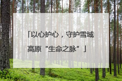 以心护心，守护雪域高原“生命之脉”