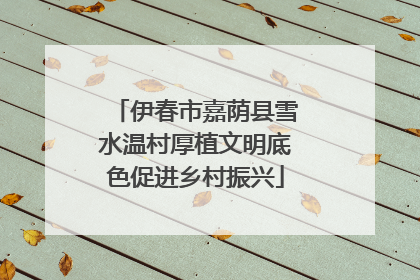伊春市嘉荫县雪水温村厚植文明底色促进乡村振兴