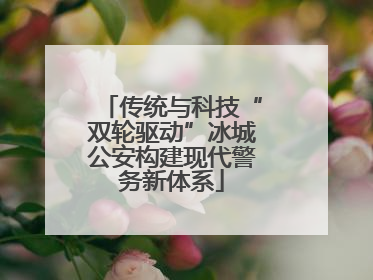 传统与科技“双轮驱动”冰城公安构建现代警务新体系
