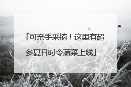 可亲手采摘！这里有超多夏日时令蔬菜上线