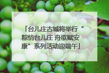 台儿庄古城将举行“粽情台儿庄 舟歌赋安康”系列活动迎端午