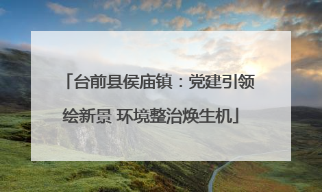 台前县侯庙镇：党建引领绘新景 环境整治焕生机