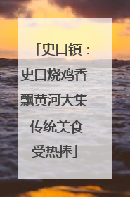 史口镇：史口烧鸡香飘黄河大集 传统美食受热捧