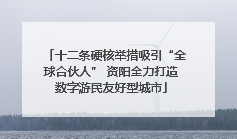 十二条硬核举措吸引“全球合伙人” 资阳全力打造数字游民友好型城市