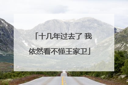 十几年过去了 我依然看不懂王家卫