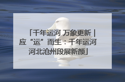 千年运河 万象更新｜应“运”而生：千年运河河北沧州段展新颜
