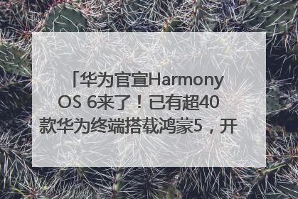华为官宣HarmonyOS 6来了！已有超40款华为终端搭载鸿蒙5，开发者突破800万