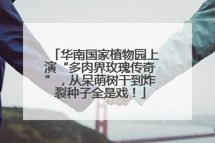 华南国家植物园上演“多肉界玫瑰传奇”，从呆萌树干到炸裂种子全是戏！