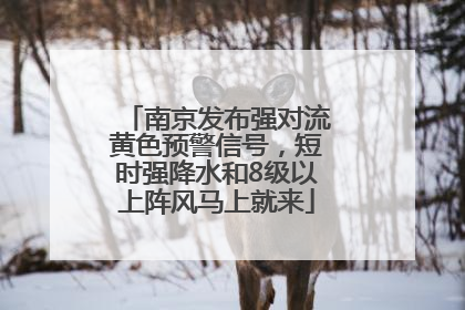 南京发布强对流黄色预警信号，短时强降水和8级以上阵风马上就来