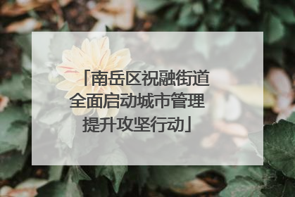 南岳区祝融街道全面启动城市管理提升攻坚行动