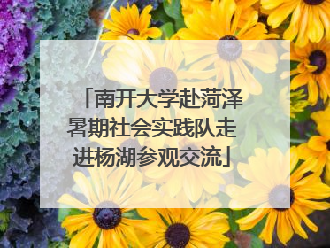 南开大学赴菏泽暑期社会实践队走进杨湖参观交流