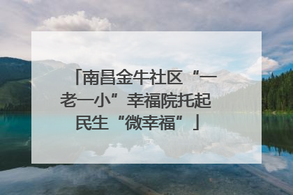 南昌金牛社区“一老一小”幸福院托起民生“微幸福”