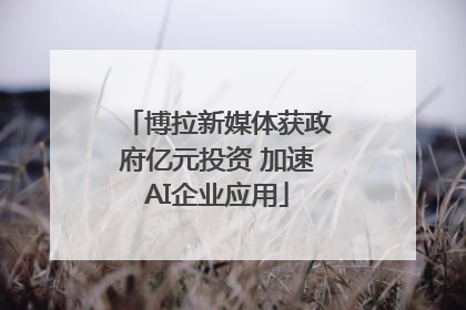 博拉新媒体获政府亿元投资 加速AI企业应用