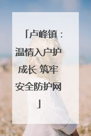 卢峰镇：温情入户护成长 筑牢安全防护网
