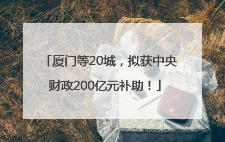 厦门等20城，拟获中央财政200亿元补助！